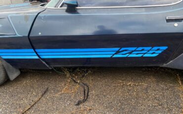 Chevrolet-z28-camaro-1981-blue-4