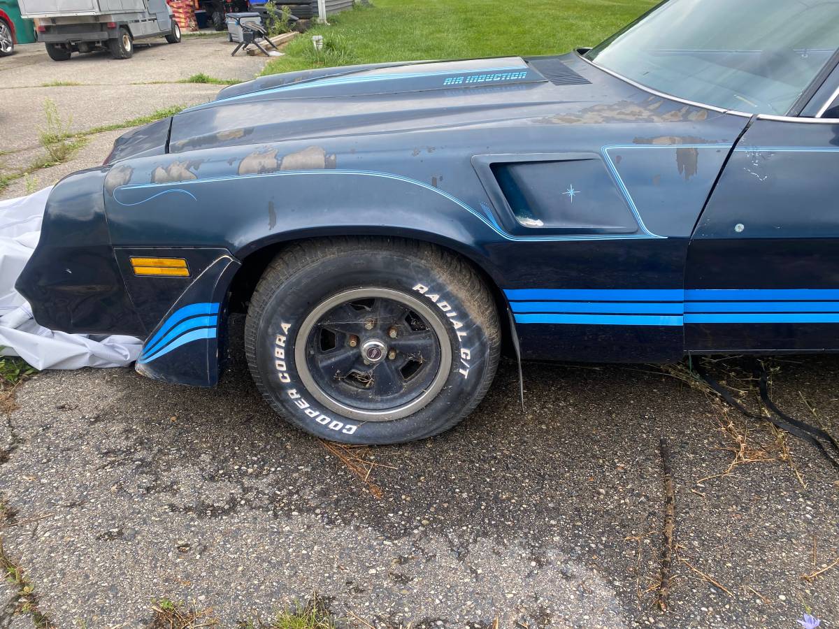 Chevrolet-z28-camaro-1981-blue-6