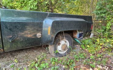 Chevy-1974-green-2