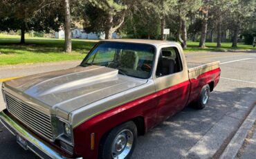 Chevy-1977-custom-3