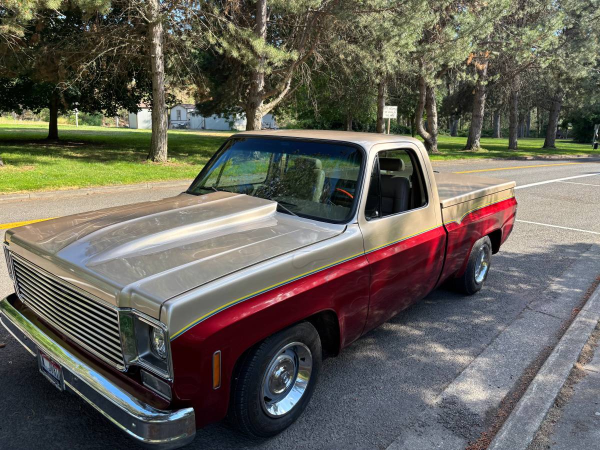 Chevy-1977-custom-3