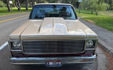 Chevy-1977-custom-4