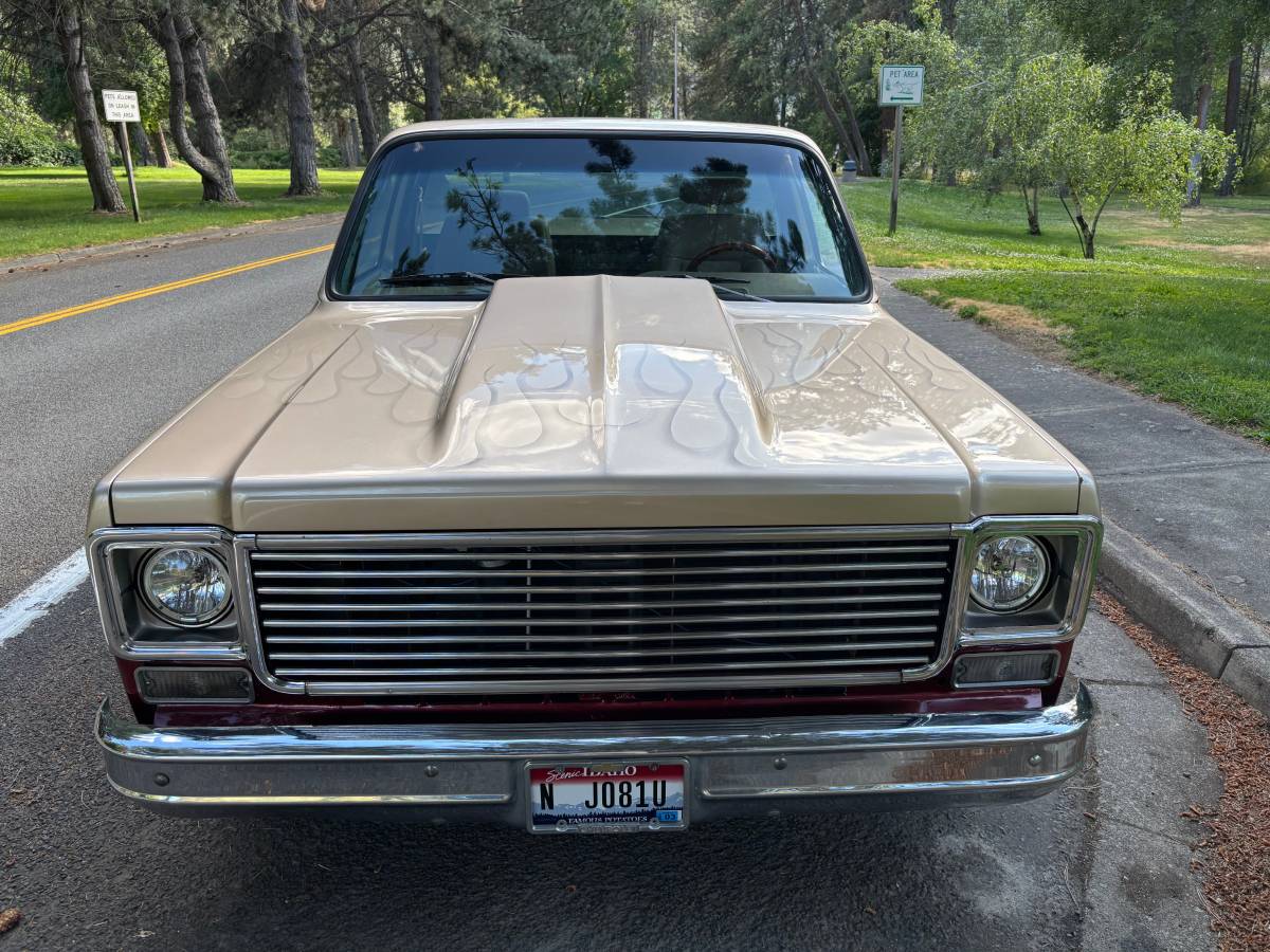 Chevy-1977-custom-4