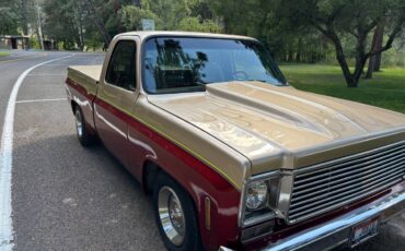 Chevy-1977-custom-5