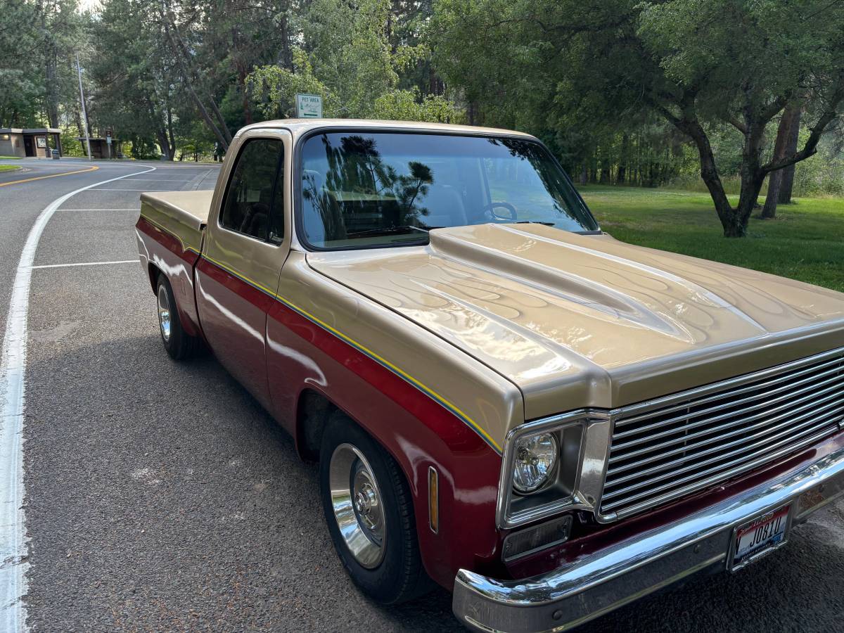 Chevy-1977-custom-5