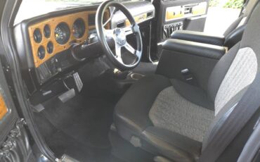 Chevy-c10-1977-10