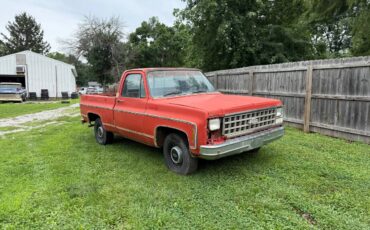 Chevy-c10-1980-2