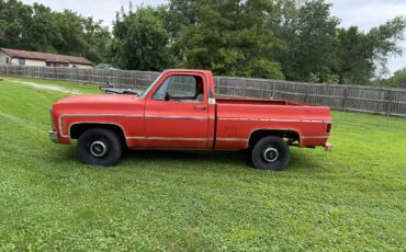 Chevy-c10-1980-3