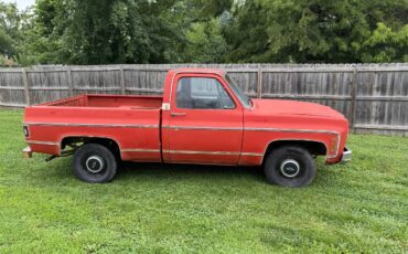 Chevy-c10-1980-4