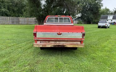 Chevy-c10-1980-6