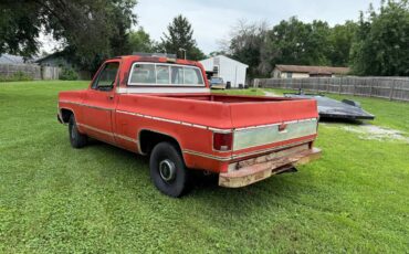 Chevy-c10-1980-7