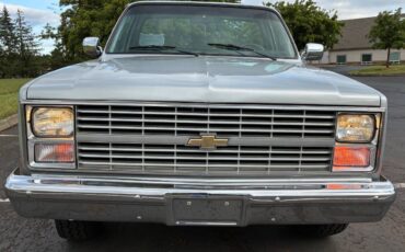 Chevy-c10-truck-1984-silver-1
