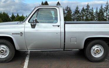 Chevy-c10-truck-1984-silver-12