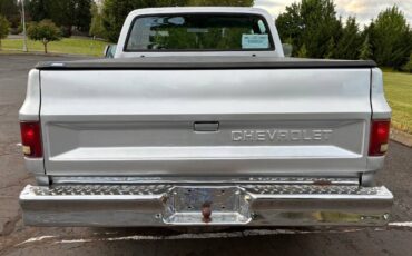 Chevy-c10-truck-1984-silver-5