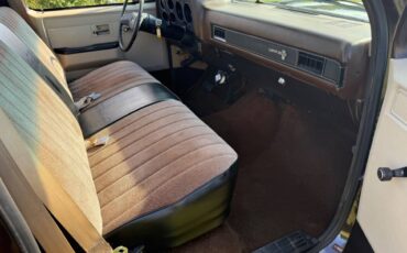 Chevy-c10-truck-1985-brown-1