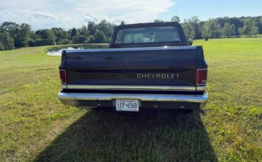 Chevy-c10-truck-1985-brown-10