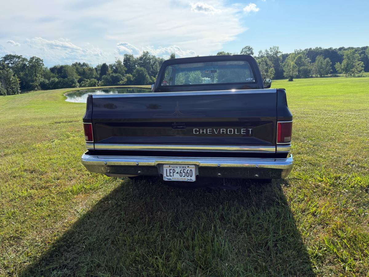 Chevy-c10-truck-1985-brown-10