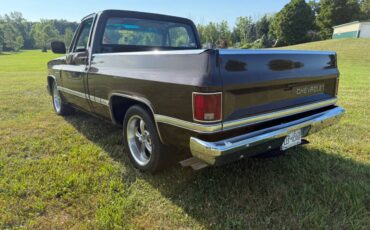 Chevy-c10-truck-1985-brown-11