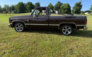 Chevy-c10-truck-1985-brown-12