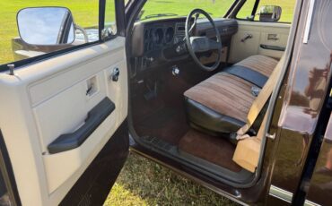 Chevy-c10-truck-1985-brown-14