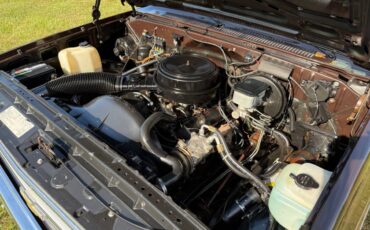 Chevy-c10-truck-1985-brown-3