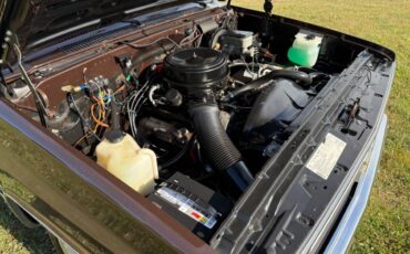 Chevy-c10-truck-1985-brown-4