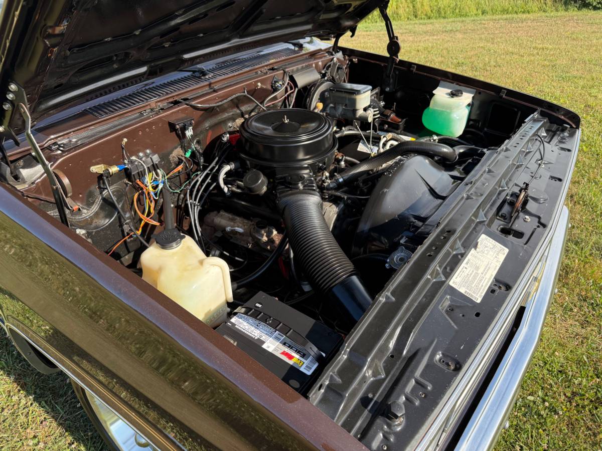 Chevy-c10-truck-1985-brown-4