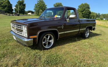 Chevy-c10-truck-1985-brown-5