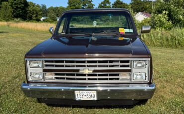 Chevy-c10-truck-1985-brown-6