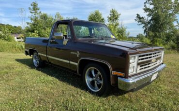 Chevy-c10-truck-1985-brown-7