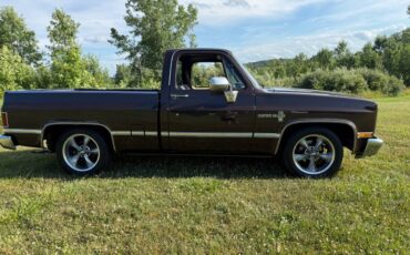 Chevy-c10-truck-1985-brown-8