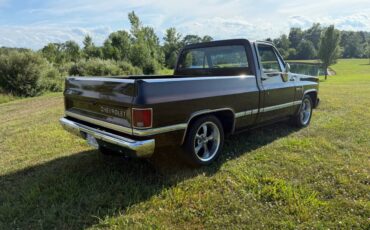 Chevy-c10-truck-1985-brown-9