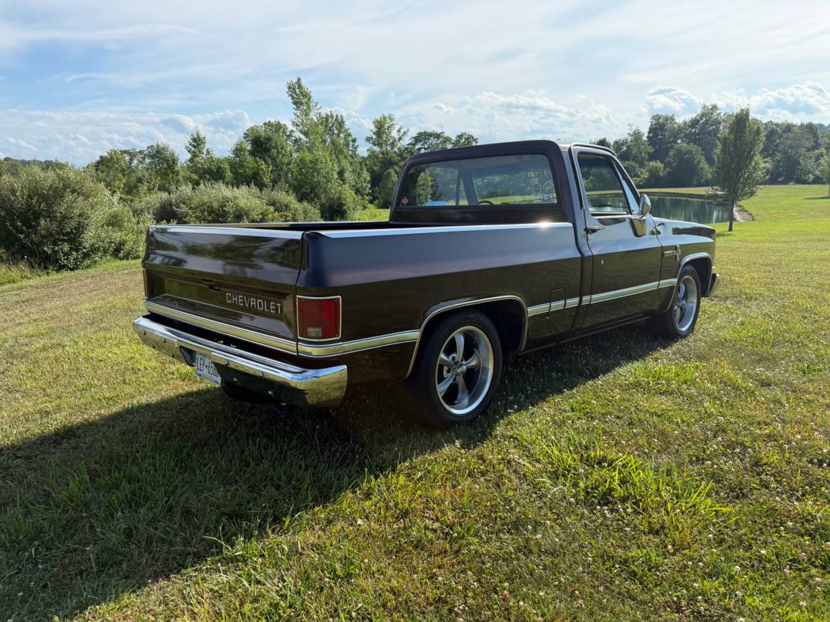 Chevy-c10-truck-1985-brown-9