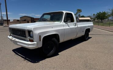Chevy-c20-1973-white-14
