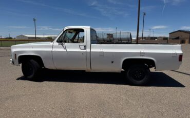 Chevy-c20-1973-white-7