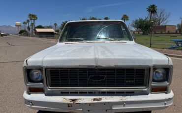 Chevy-c20-1973-white-8