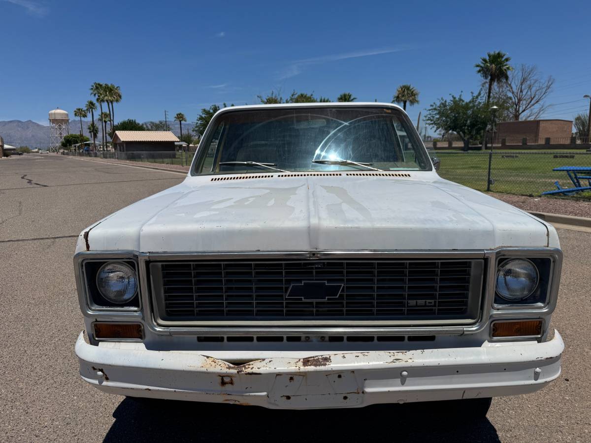 Chevy-c20-1973-white-8