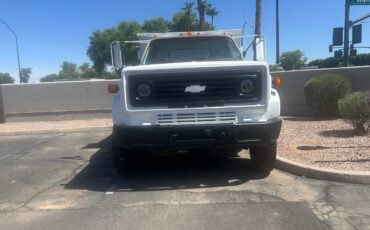 Chevy-c6500-diesel-1989-white-4