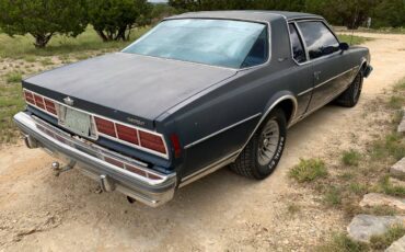 Chevy-caprice-1978-blue-19