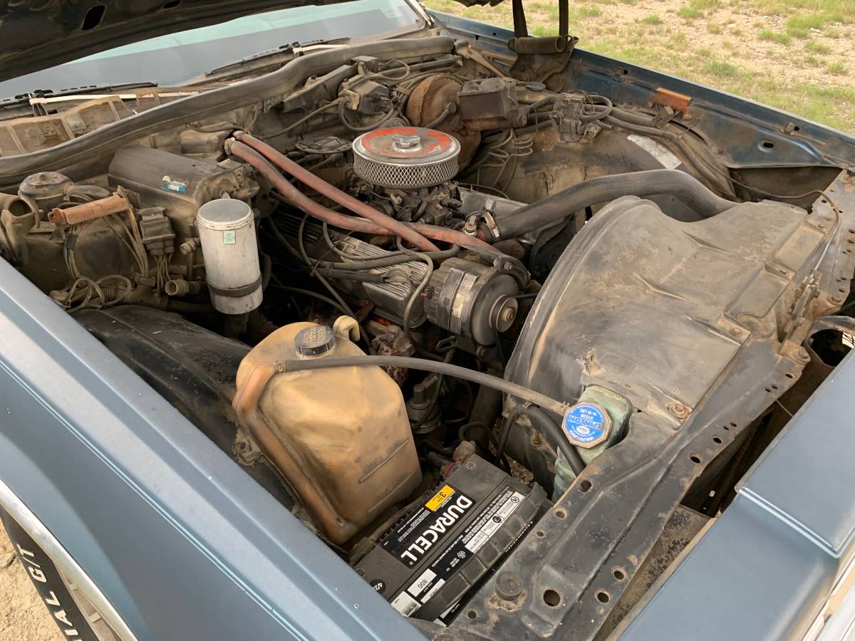 Chevy-caprice-1978-blue-5