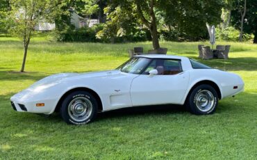 Chevy-corvette-coupe-1979-white