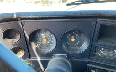 Chevy-custom-ranch-deluxe-c30-1978-white-10