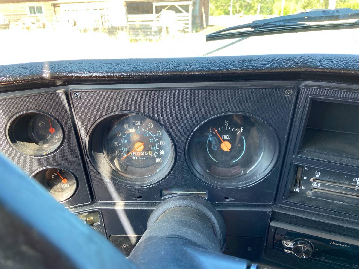 Chevy-custom-ranch-deluxe-c30-1978-white-10