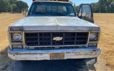 Chevy-custom-ranch-deluxe-c30-1978-white-4