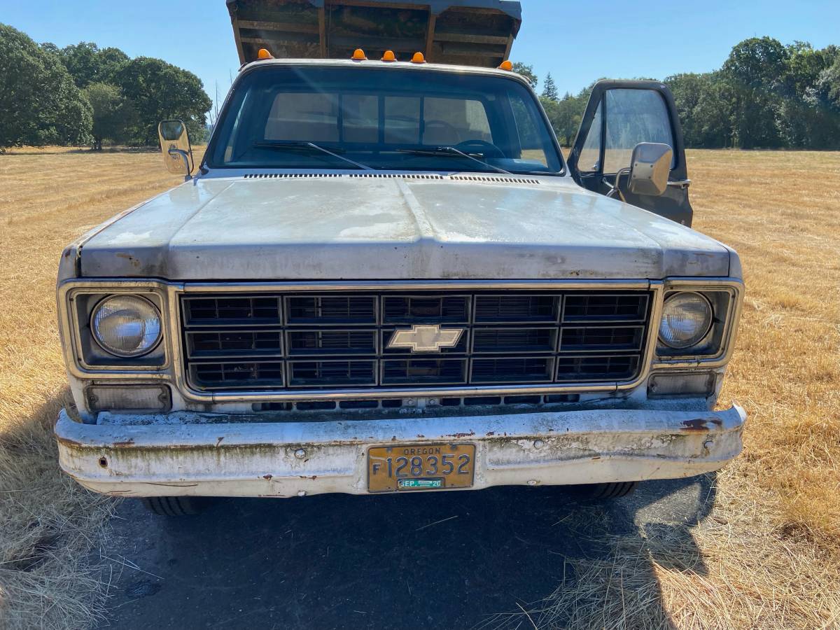 Chevy-custom-ranch-deluxe-c30-1978-white-4