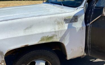 Chevy-custom-ranch-deluxe-c30-1978-white-5
