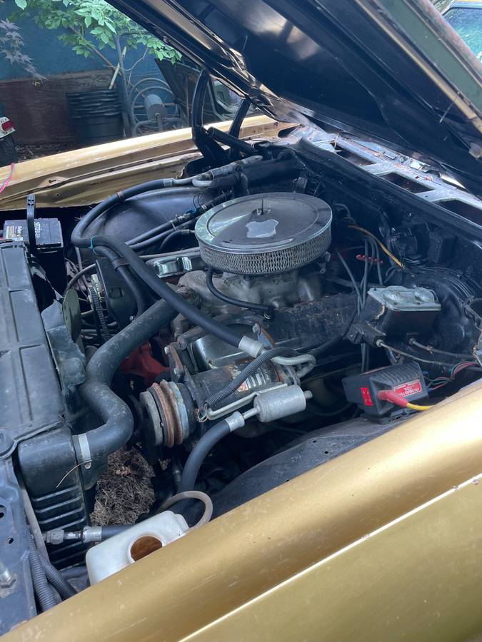 Chevy-el-camino-1971-custom-6