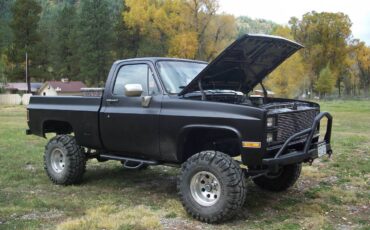 Chevy-k10-4x4-1983-custom-2