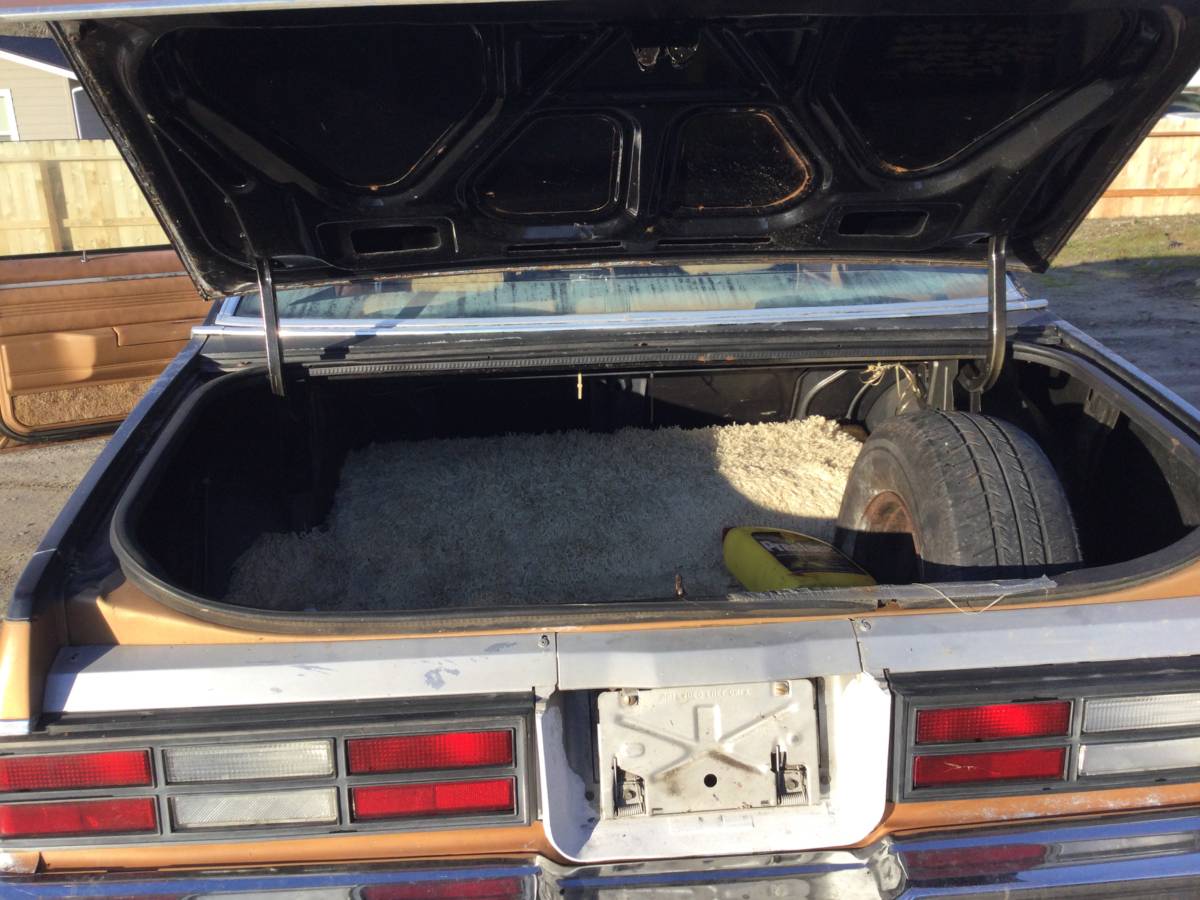 Chevy-malibu-1980-brown-12