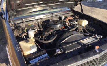 Chevy-malibu-1980-brown-5
